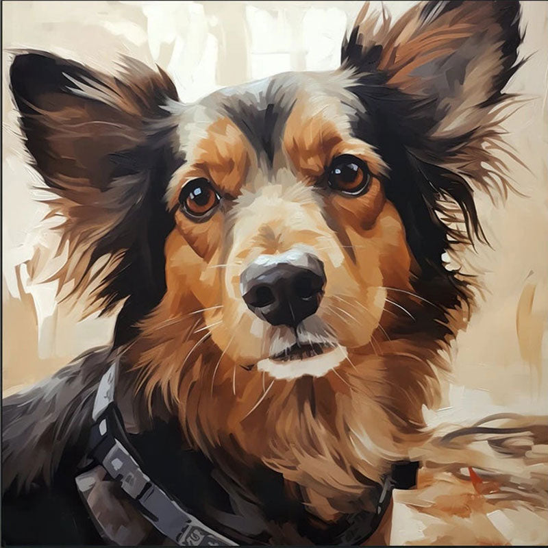 Border Collie Portrait Wall Art | Square Contemporary Dog Painting #ZZ 168
