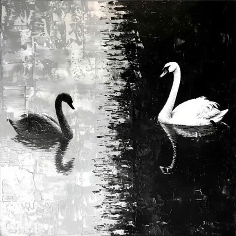 Black and White Swan Wall Art | Large Square Abstract Painting #ZZ 219